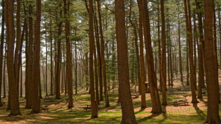 How To Secure 11Xplay Com App Login Password India From Hackers?