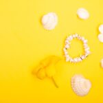 Reddybook Review: How This Digital Platform Transforms Learning and Connects with 11xplay